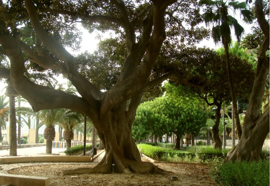 Parque Nicolás Salmerón